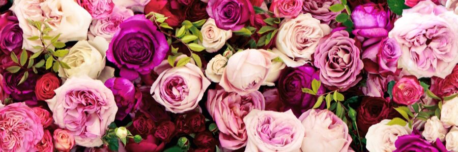 aleeee_alvarez's profile banner image