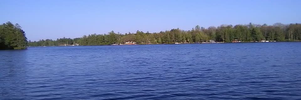 Melissa Snoddon banner