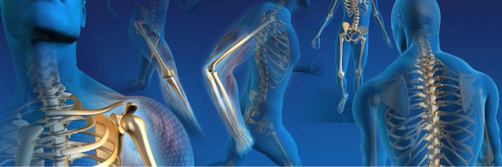 Dr.Arjuman Al-haddad banner