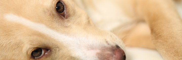 brithannah's profile banner image