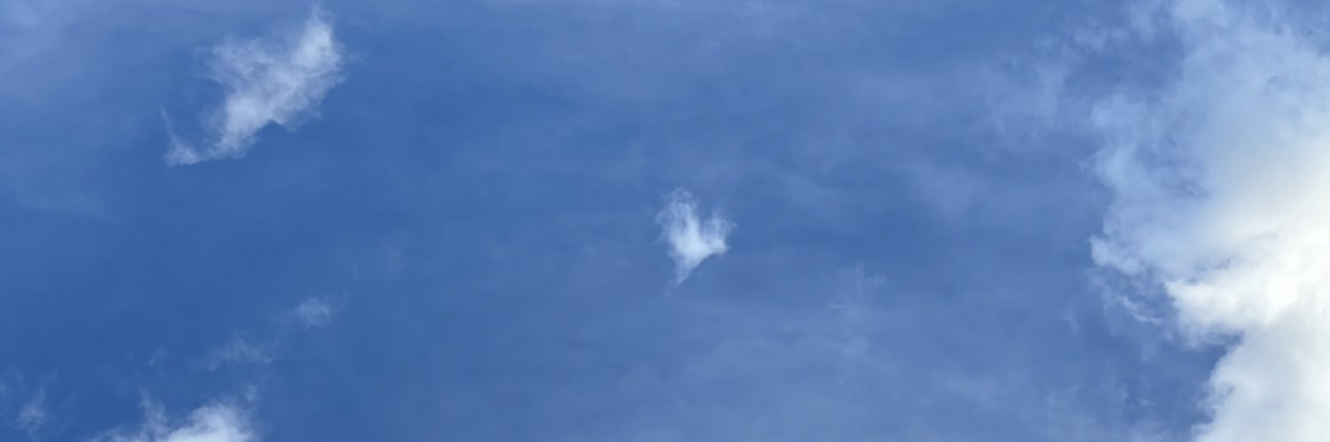 ciel_ak's profile banner image