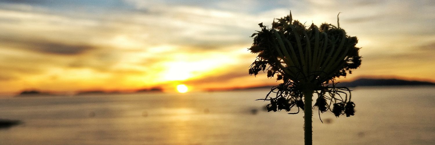 Pablo17p's profile banner image