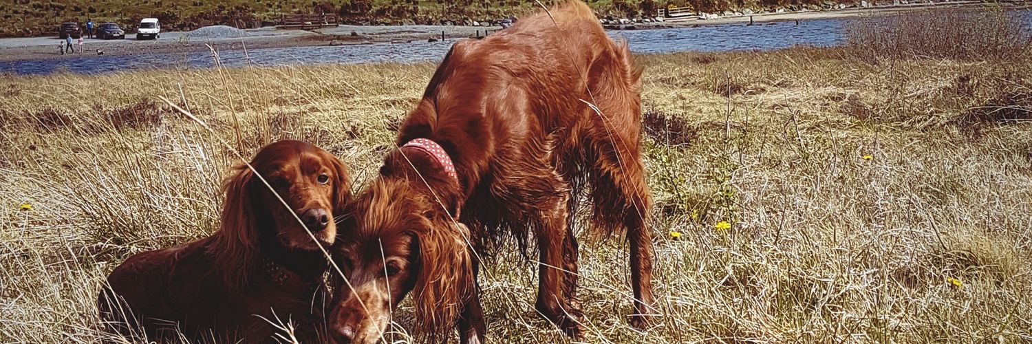 Phillip Lowry banner
