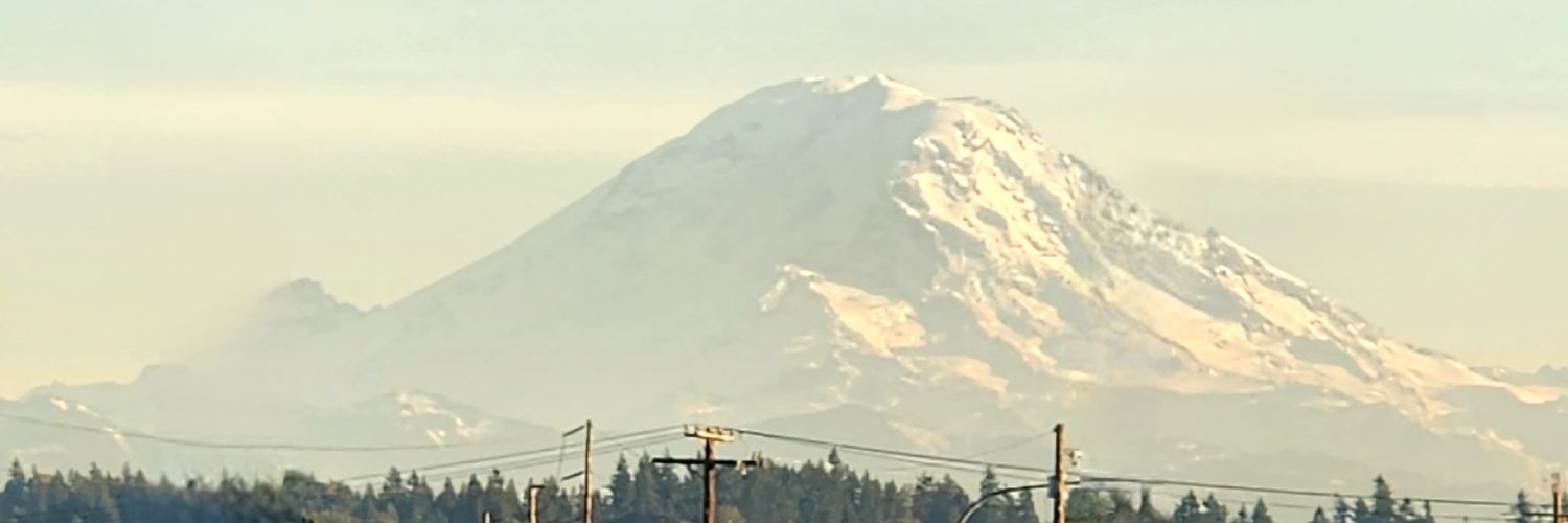 sarruf_monroy's profile banner image