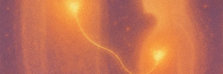 louwerst's profile banner image