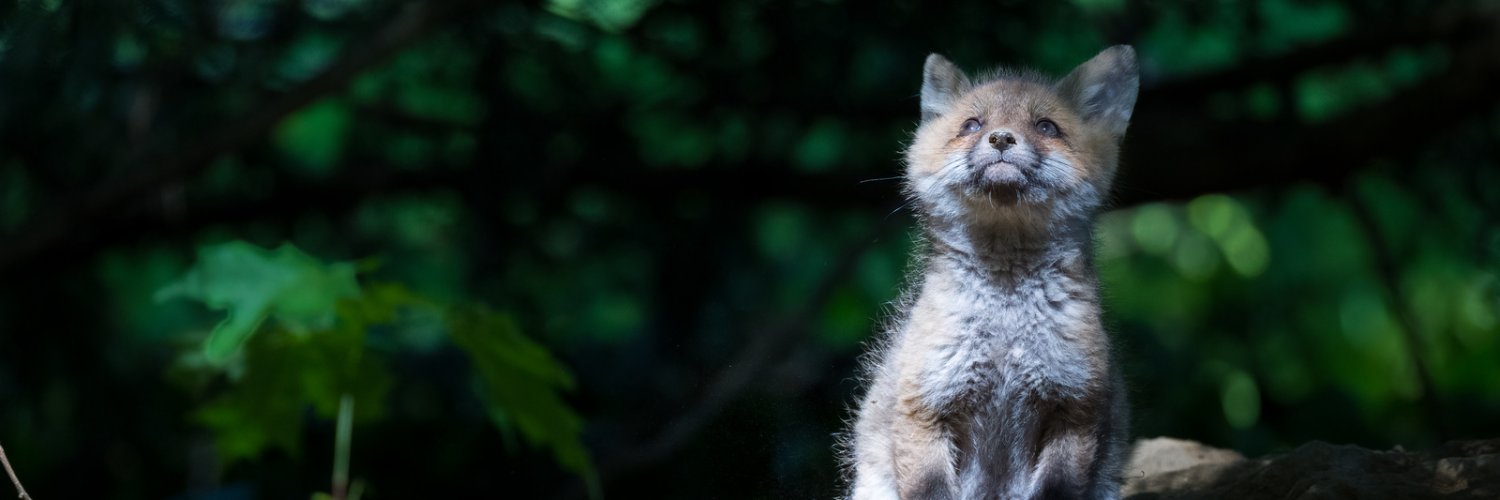 Natural Lands banner