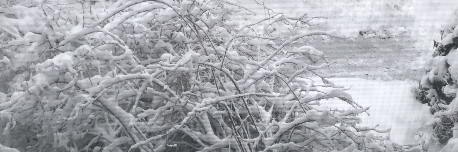 Gyncild's profile banner image