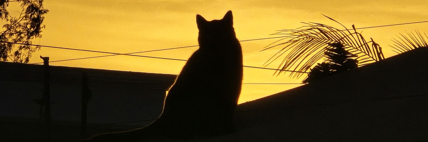 DonaldoCov's profile banner image
