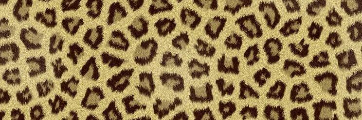 erinh12's profile banner image