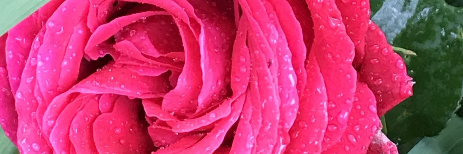 k80smith's profile banner image