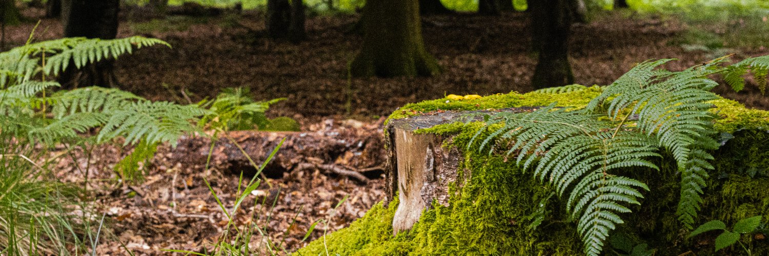 benpranczke's profile banner image