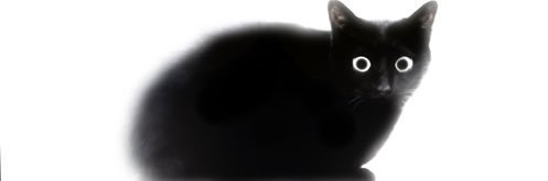 RubberD10's profile banner image