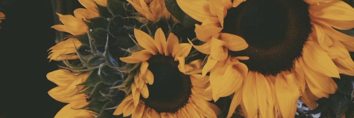 dymondglam's profile banner image