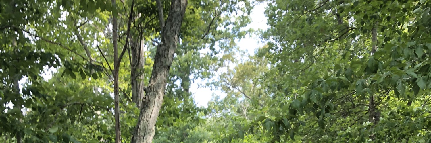 TyFen92's profile banner image