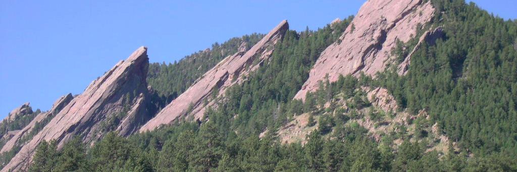 Anne P. Mitchell Esq banner