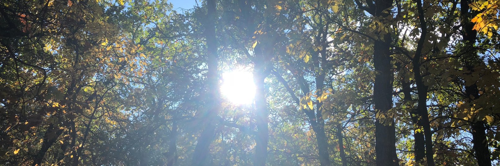 SunshineFundMB's profile banner image