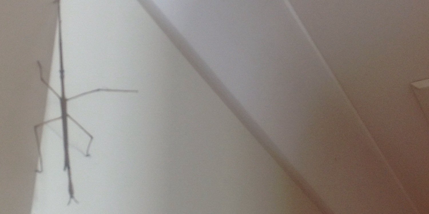 SirKeeperz's profile banner image