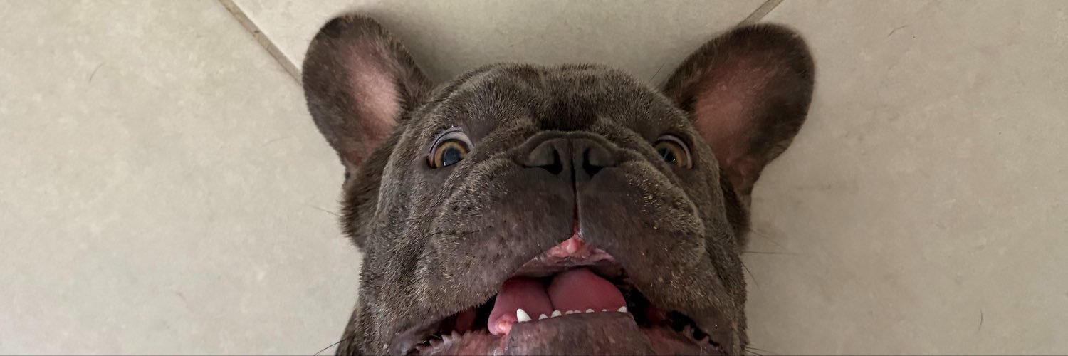 Vicodespreav's profile banner image
