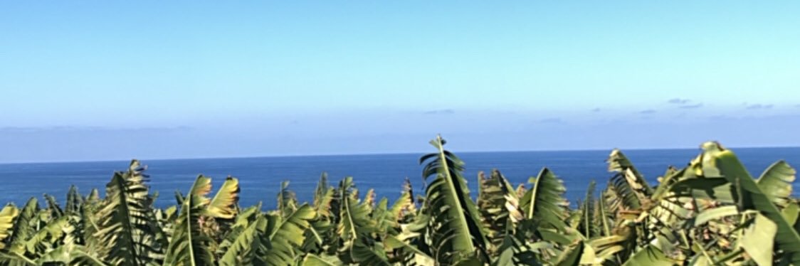 TataMarini's profile banner image