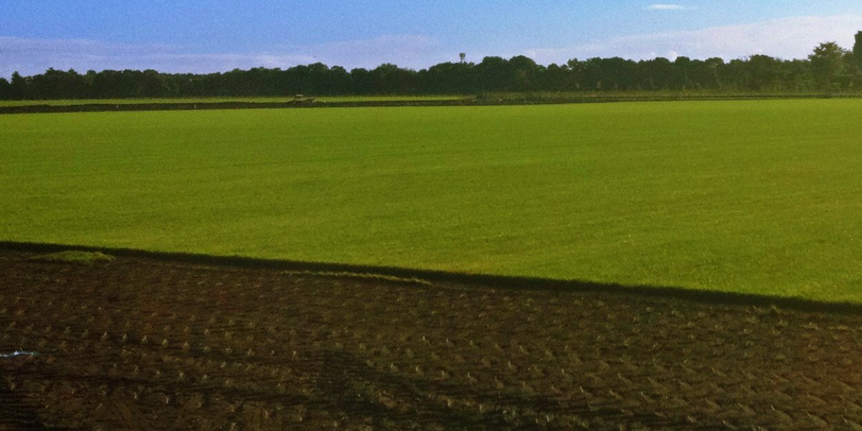 WatmoresTopsoil's profile banner image