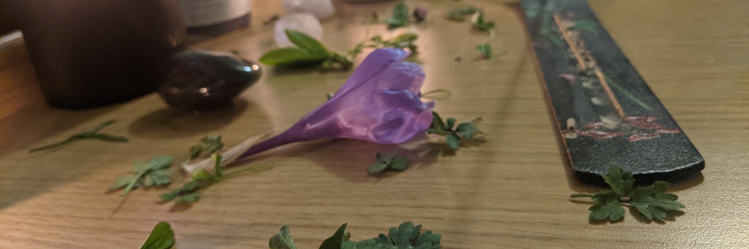 🌹🏳️‍⚧️rose&🦽🦓 they/ey banner