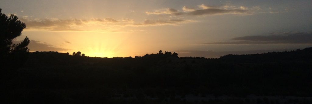 Suñer banner