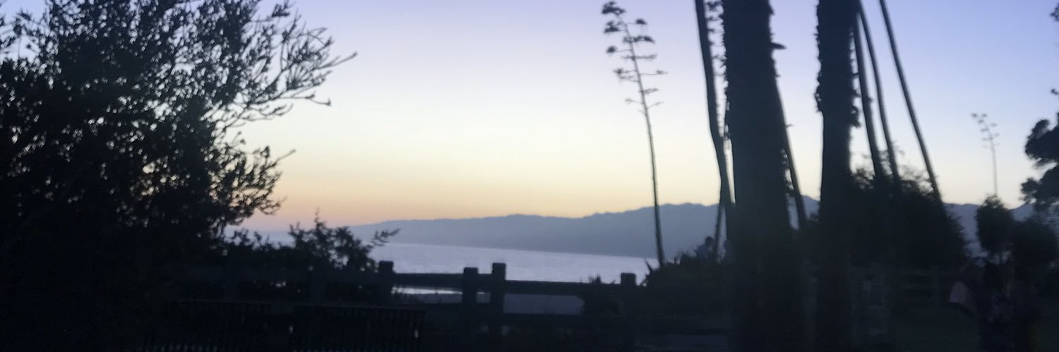 Stefanie Hartmann banner