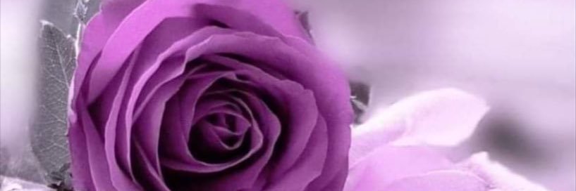 esg2015's profile banner image