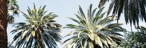 Geulleaumeayla's profile banner image
