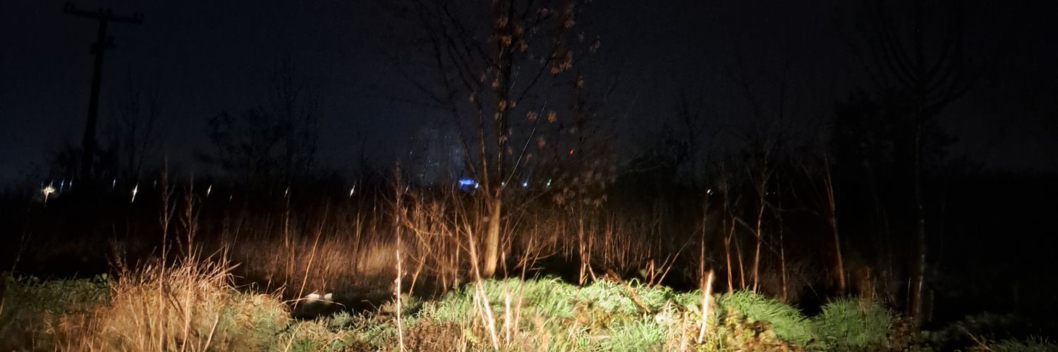 noaaael's profile banner image
