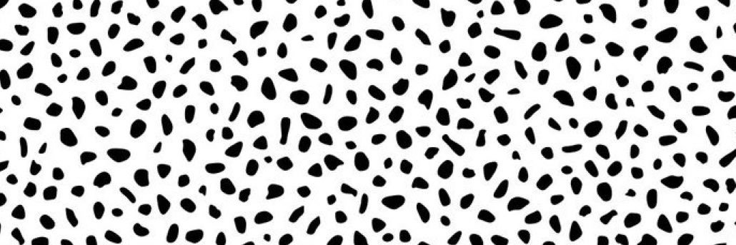 Lexy_Toth's profile banner image