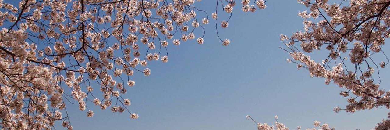deviljun0's profile banner image