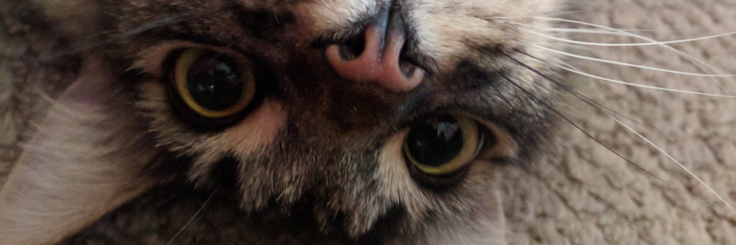 __unicornvomit's profile banner image
