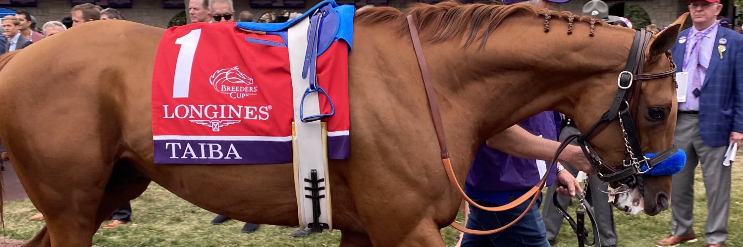 Buckland Sales 🐎 🏆 banner