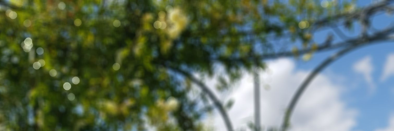 AliceSpearing's profile banner image