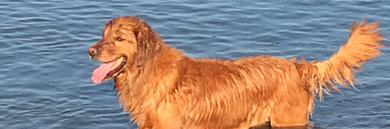 YLiddy's profile banner image