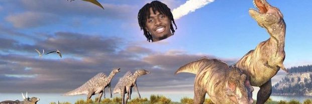 Dru banner