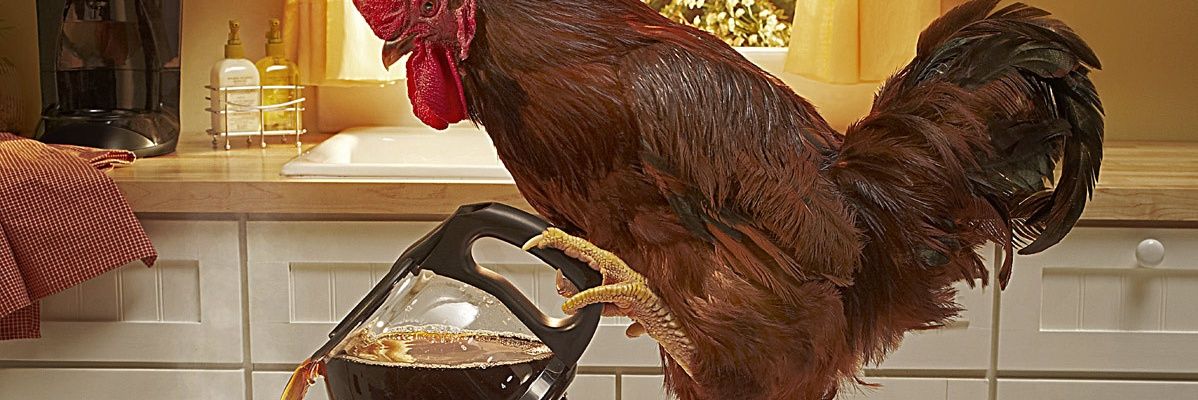 askunclebart's profile banner image