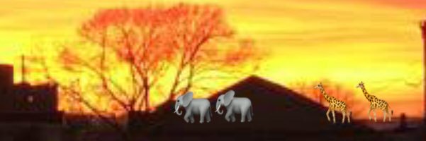 1burntbroccoli's profile banner image