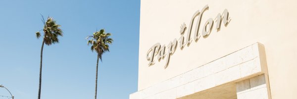 papillonstyles Profile Banner