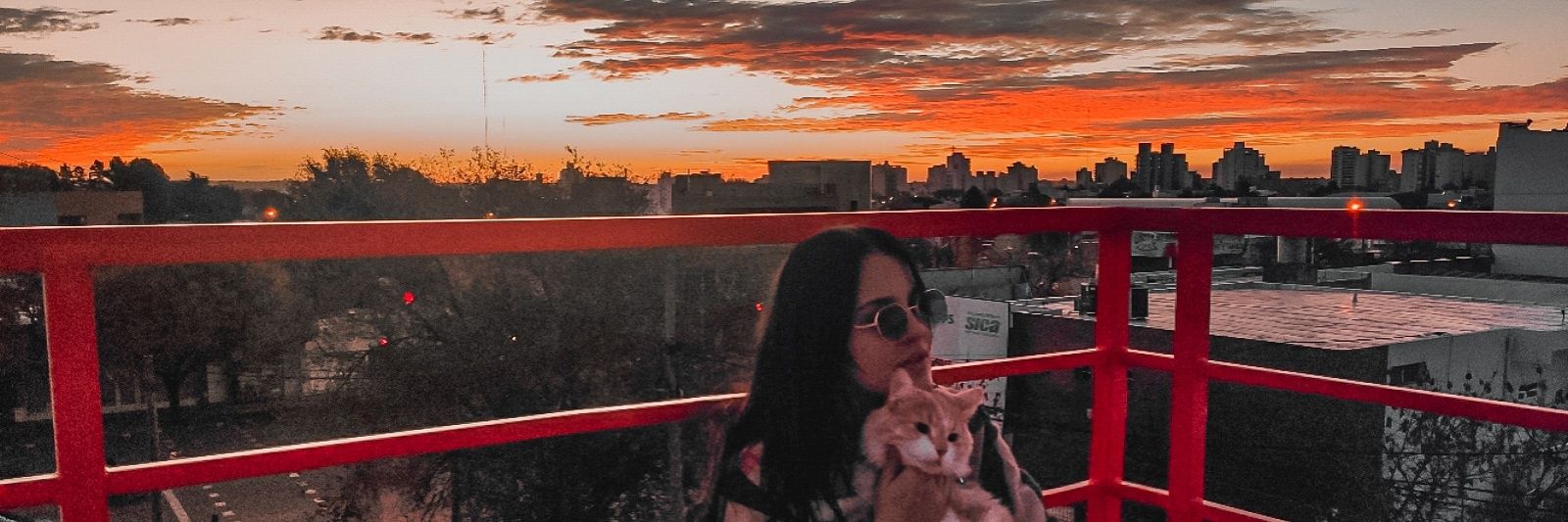 MiliAlvarezL's profile banner image