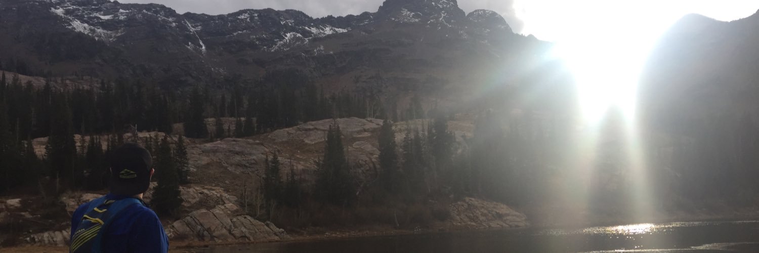 tieflie's profile banner image