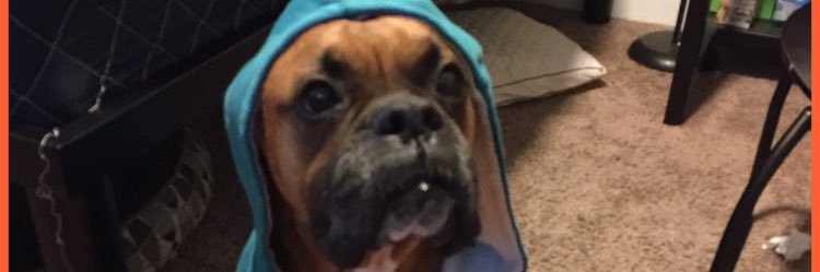 jaytoppp's profile banner image
