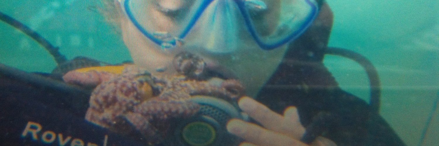 kelaphillips's profile banner image