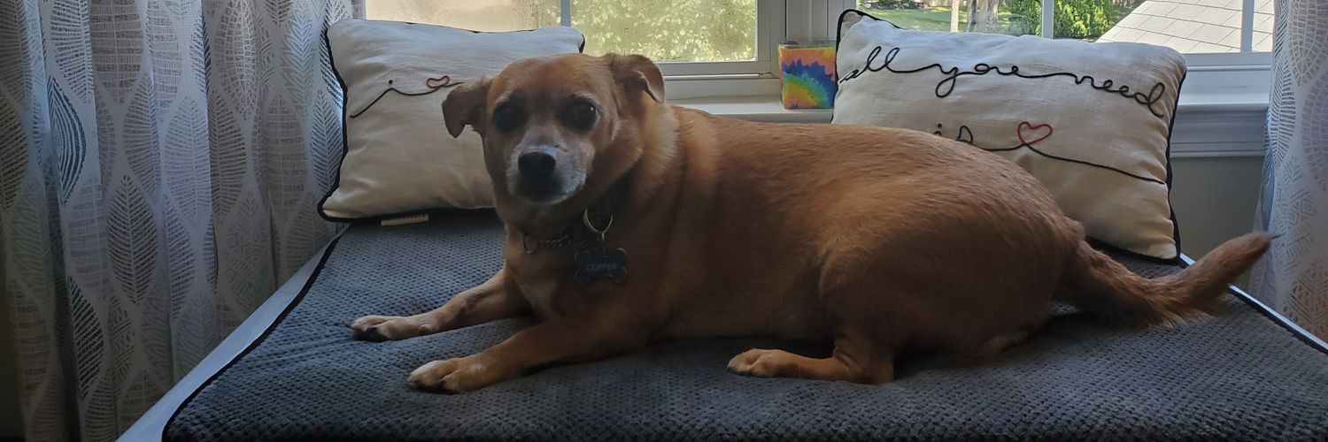 Juuhndk's profile banner image