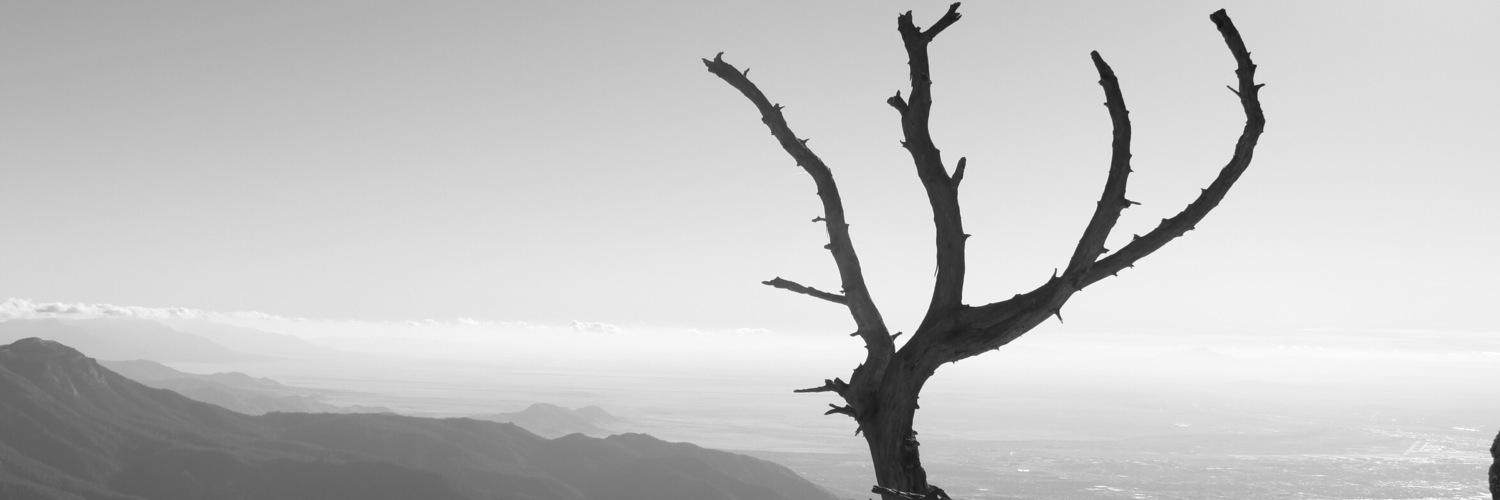 TheeMackJayy's profile banner image