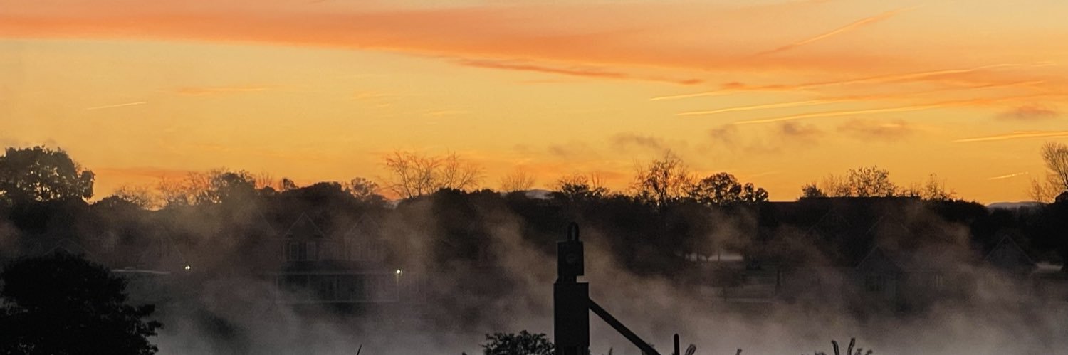 LauraMenz1's profile banner image