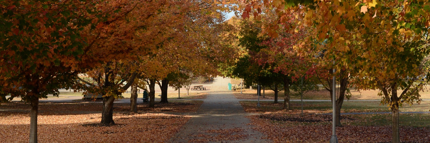 Columbia State banner
