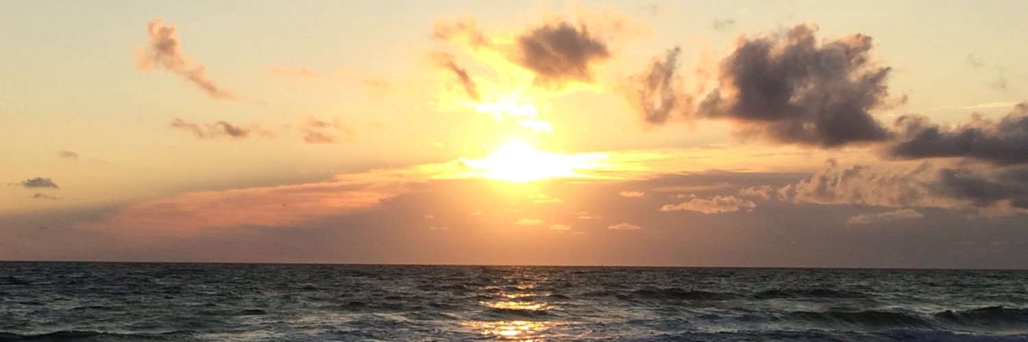 Lally_Tweets's profile banner image