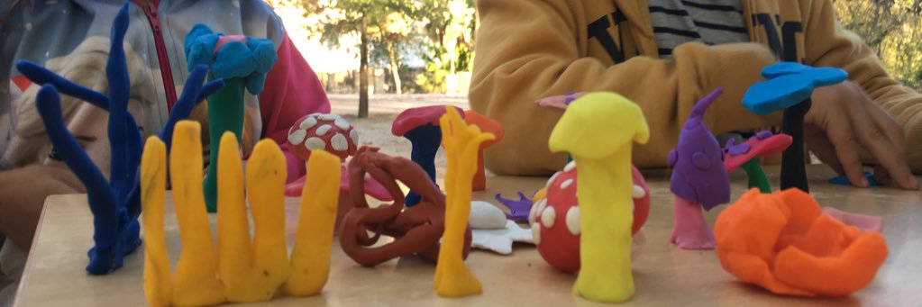 ECCF #FutureForFungi banner